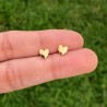 Aretes Corazon Chapa de Oro 14K AZ199