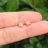 Aretes Corazon Rosa Chapa de Oro AZ28