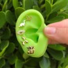 Aretes Globo Chapa de Oro 18K Az103