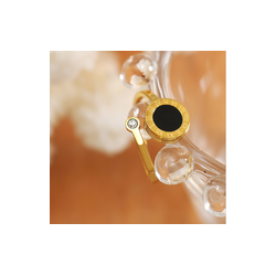 Anillo Dorado  Acero Inox  C678