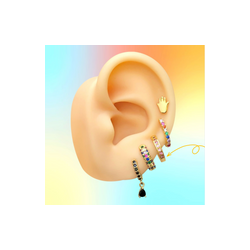 Aretes Arracada Rosa Chapa de Oro Az21